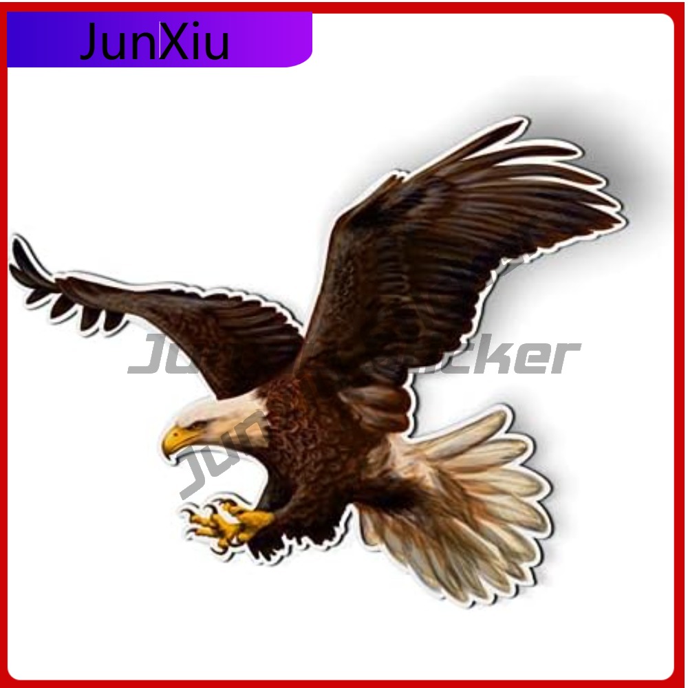 Laptop Accessories To Have - Bald Eagle American Eye Catching Must